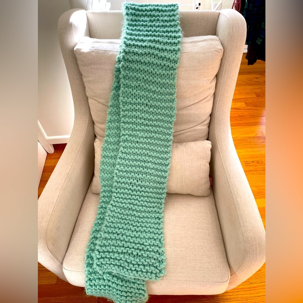 Anthropologie Extra-long Chunky Knit Winter Ski Scarf in Mint Green
